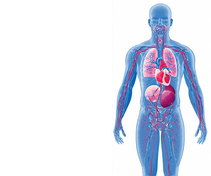 Complete Whole Body Health Check-Up Package Complete Whole Body Health Check-Up Package